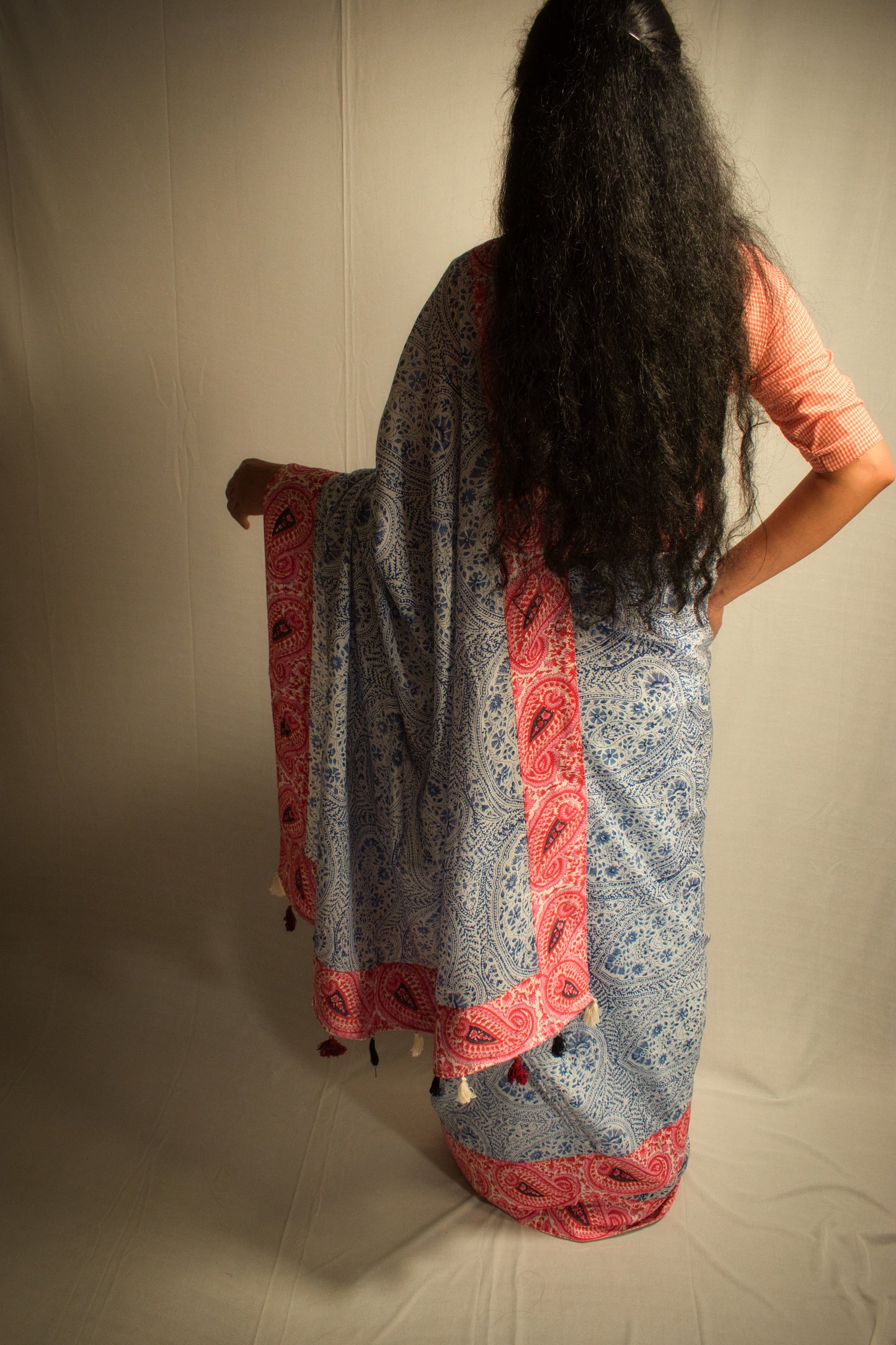 PAISLEY AFFAIR SAREE