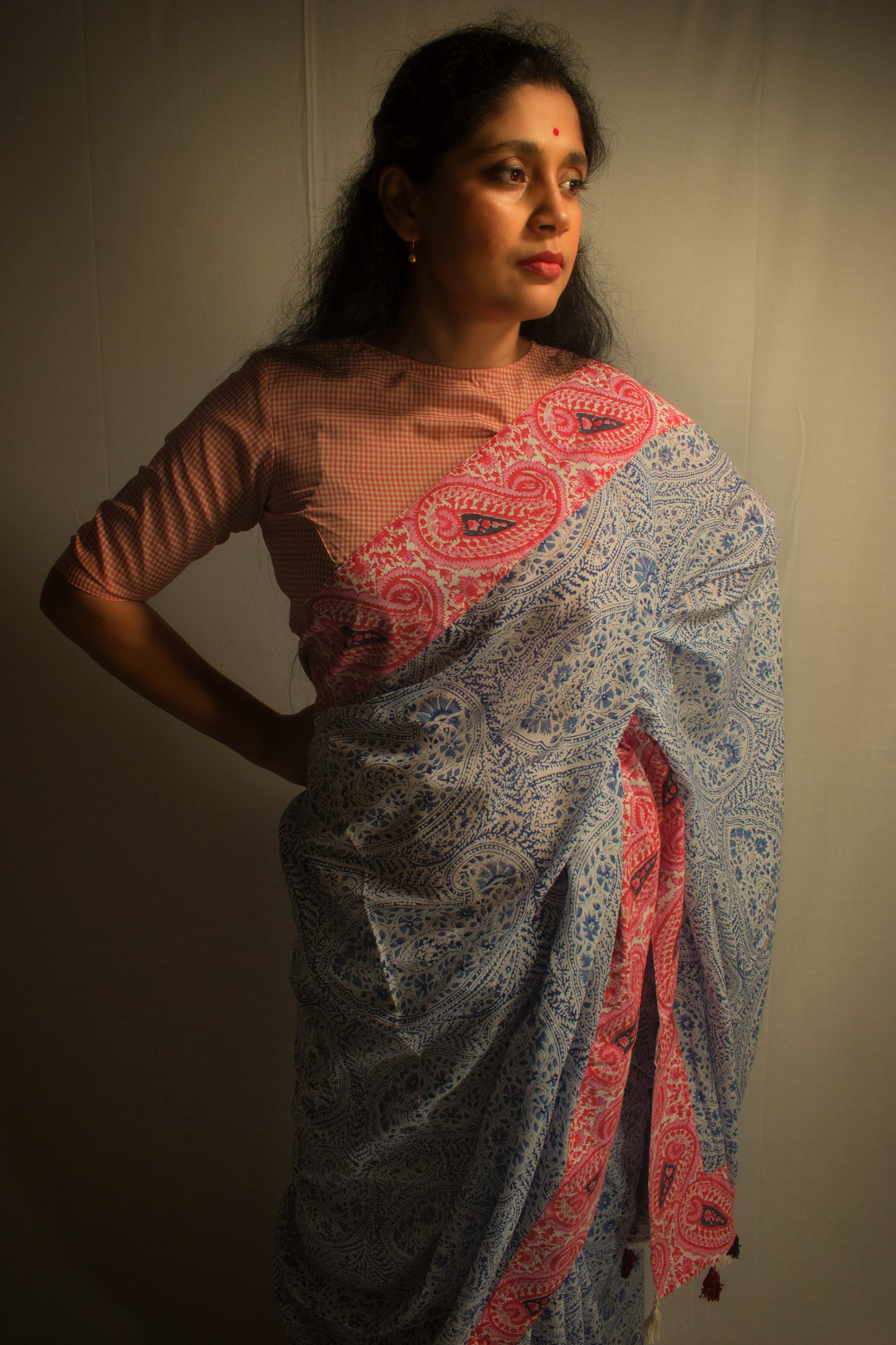PAISLEY AFFAIR SAREE