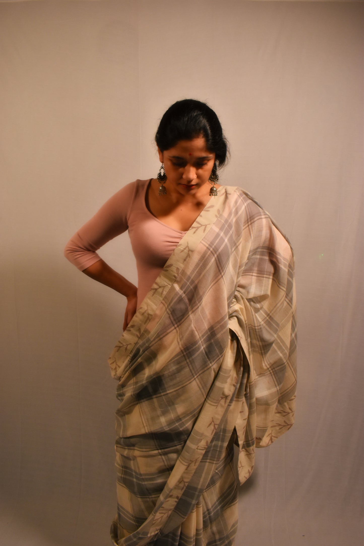 FUN FAWN SAREE