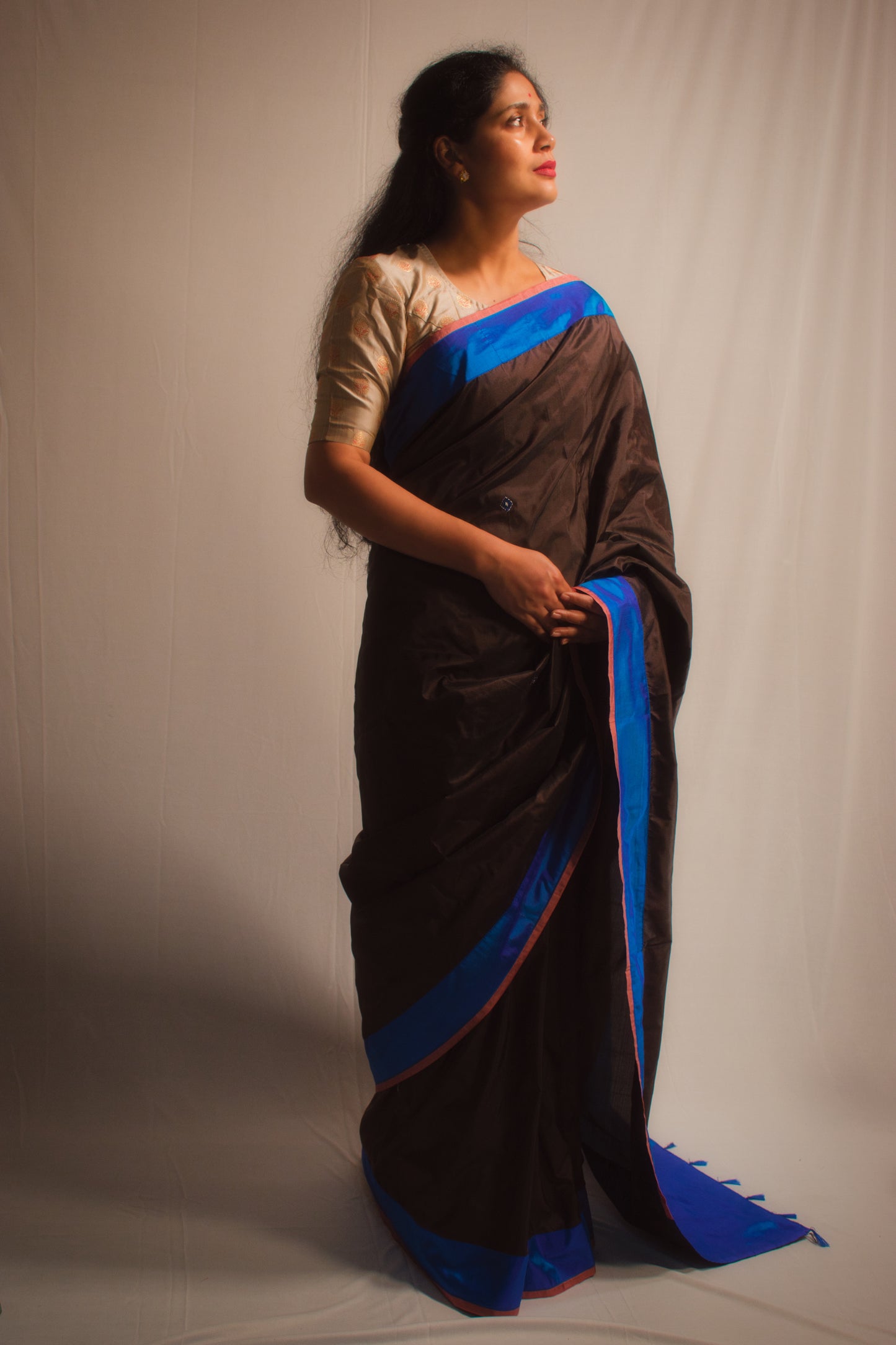 THE ELECTRIC SKY SAREE