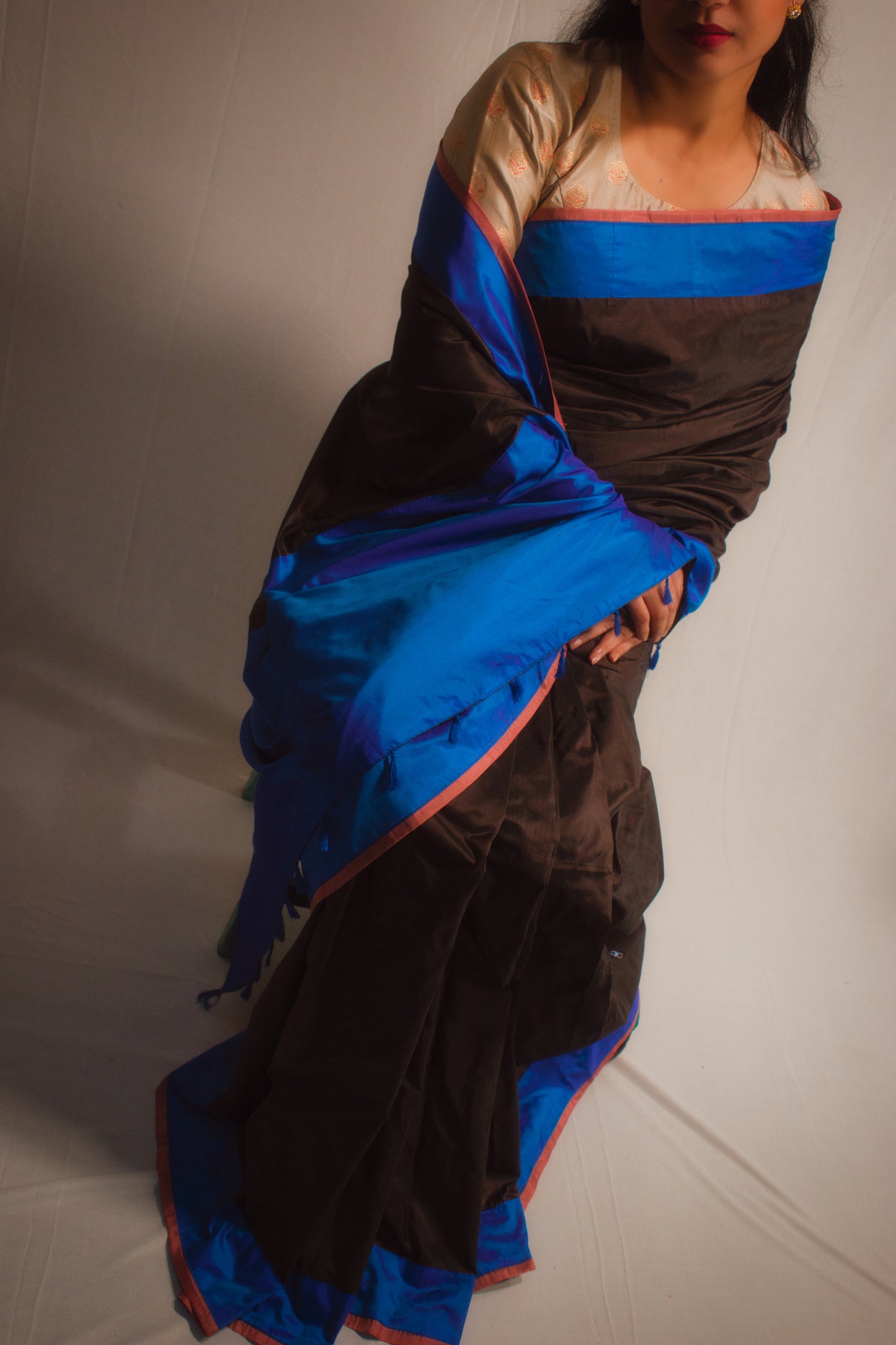 THE ELECTRIC SKY SAREE