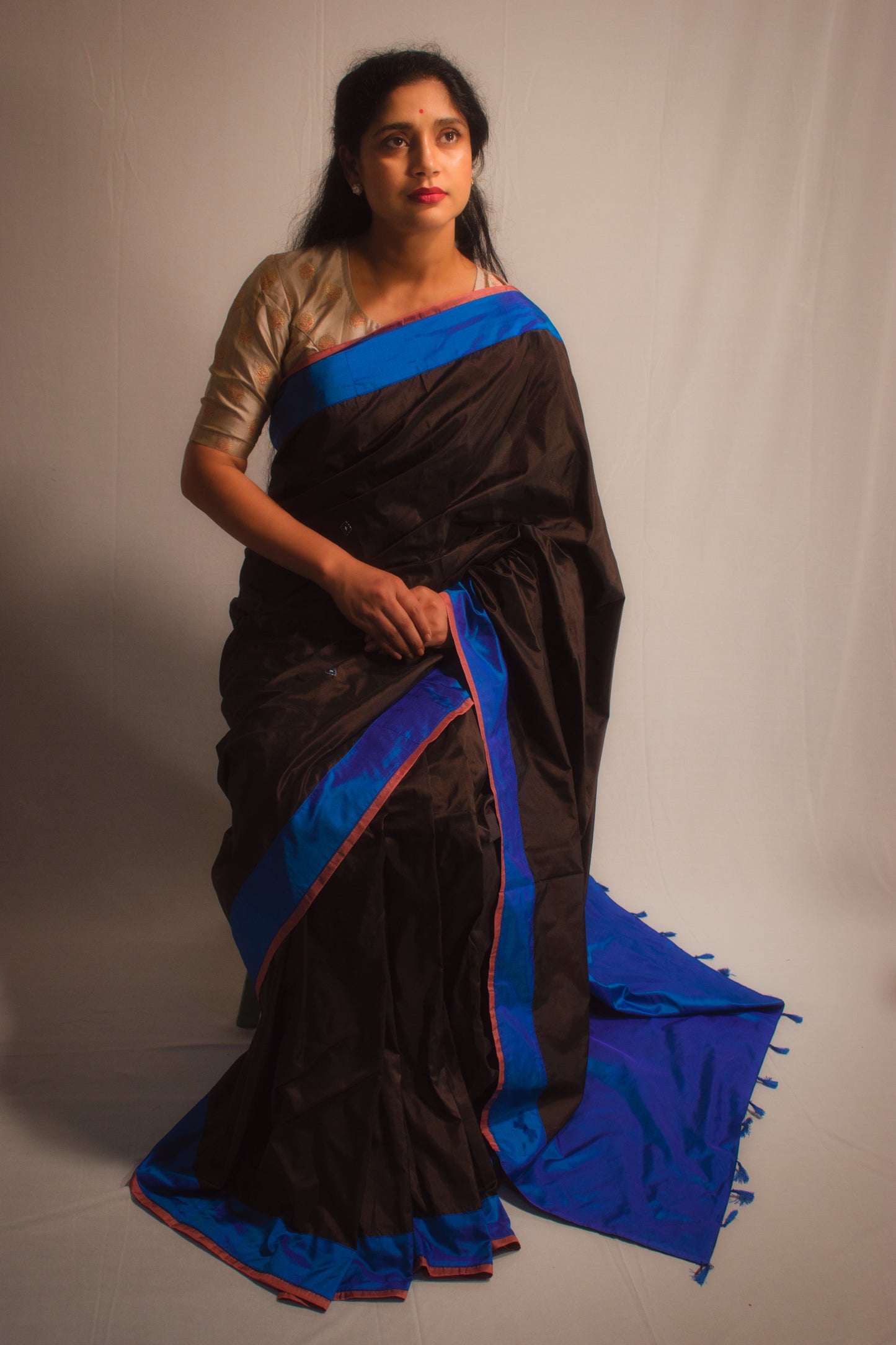 THE ELECTRIC SKY SAREE